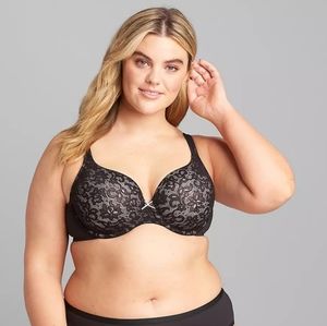 Cotton Lightly Lined T-Shirt Bra With Lace